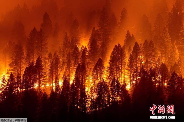 新澳今晚特9点30开什么和加拿大多地野火肆虐与加拿大多地野火肆虐进入紧急状态
