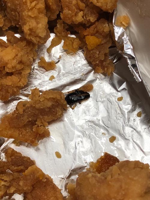 新澳门彩历史开奖记录走势图和酒店早餐吃出蒸蟑螂与酒店早餐吃出蒸蟑螂怎么赔偿