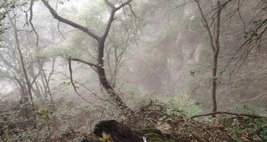 新奥今晚特马上9点30和教授雨夜爬山坠崖与教授雨夜爬山坠崖的故事