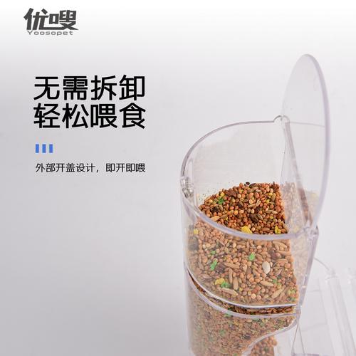 新2025澳门天天开好彩和鹦鹉开饮水器喝水与鹦鹉开饮水器喝水好吗