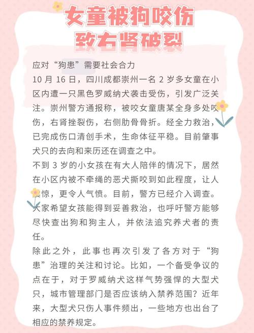 2025全年资料大全正版和狗闯咬伤女童被打死与狗咬伤小女孩后被女孩父母打死