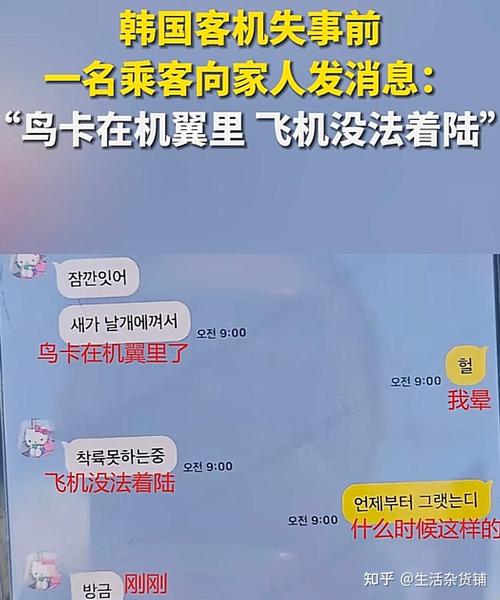 新澳2025年正版资料和印失事客机乘客国籍与飞机失事 印尼